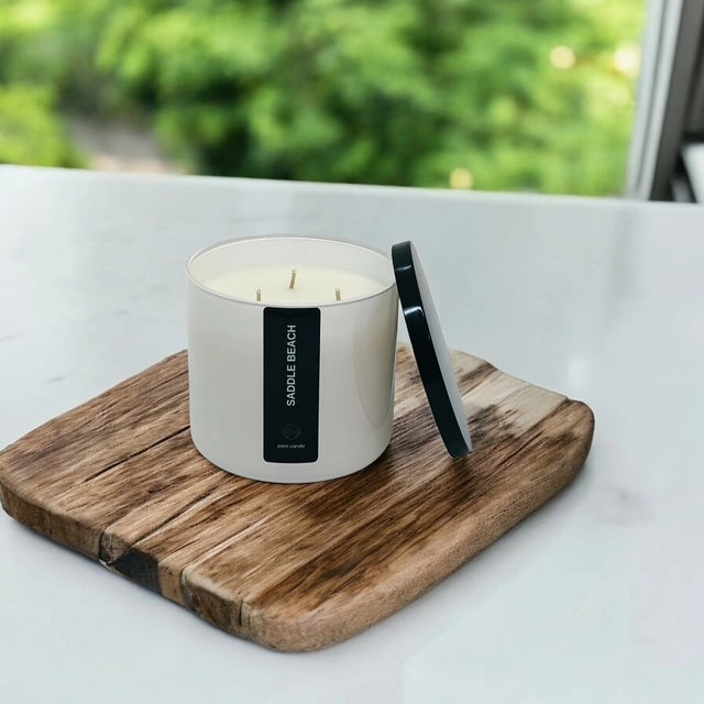 SADDLE BEACH 20oz SOY + COCONUT CANDLE